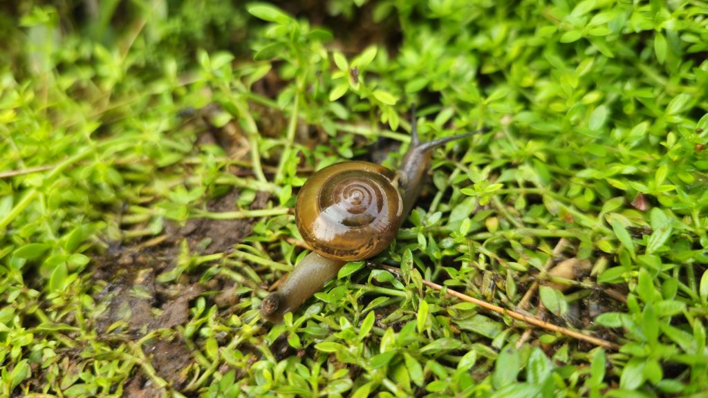 slow business growth