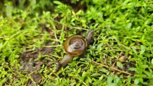 slow business growth